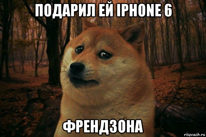 подарил ей iphone 6 френдзона, Мем SAD DOGE