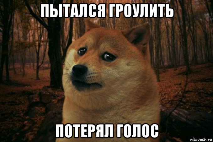 пытался гроулить потерял голос, Мем SAD DOGE