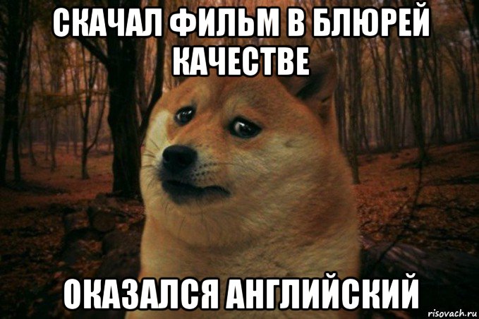 скачал фильм в блюрей качестве оказался английский, Мем SAD DOGE