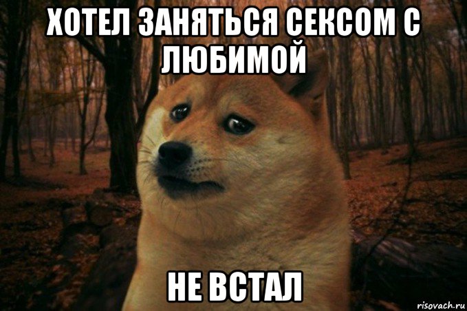 хотел заняться сексом с любимой не встал, Мем SAD DOGE