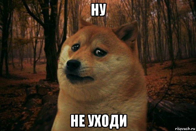 ну не уходи, Мем SAD DOGE