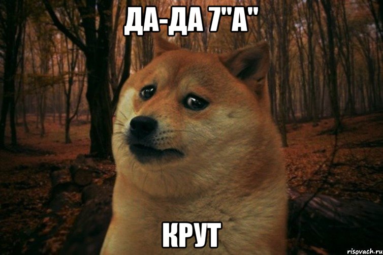 ДА-ДА 7"А" КРУТ, Мем SAD DOGE