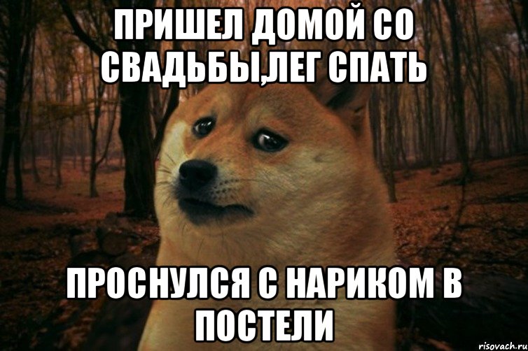 Пришел домой со свадьбы,лег спать Проснулся с нариком в постели, Мем SAD DOGE