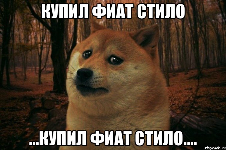 Купил фиат стило ...КУПИЛ ФИАТ СТИЛО...., Мем SAD DOGE