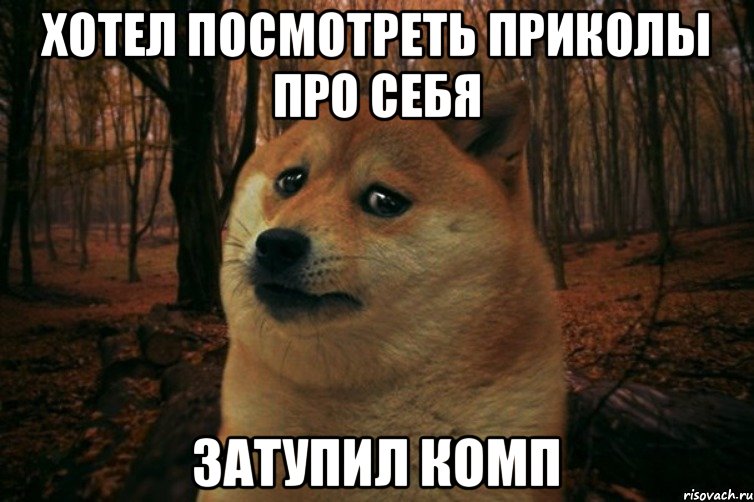 Хотел посмотреть приколы про себя Затупил комп, Мем SAD DOGE