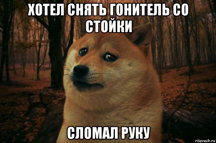 Хотел снять гонитель со стойки сломал руку, Мем SAD DOGE