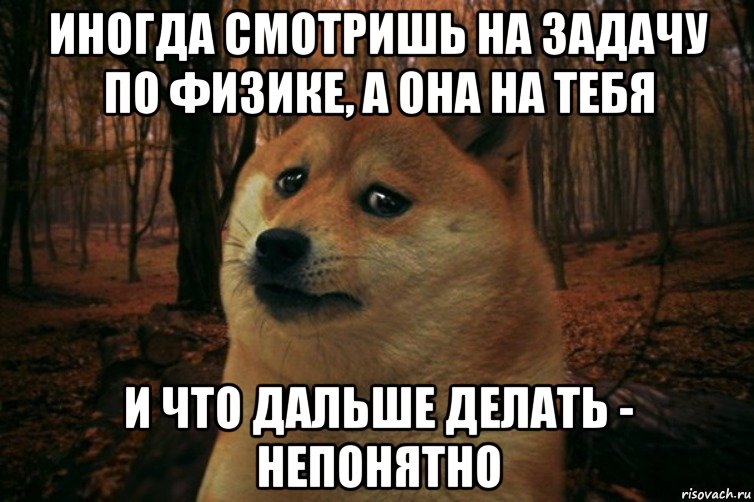 иногда смотришь на задачу по физике, а она на тебя и что дальше делать - непонятно, Мем SAD DOGE