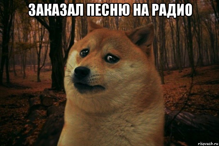 заказал песню на радио , Мем SAD DOGE