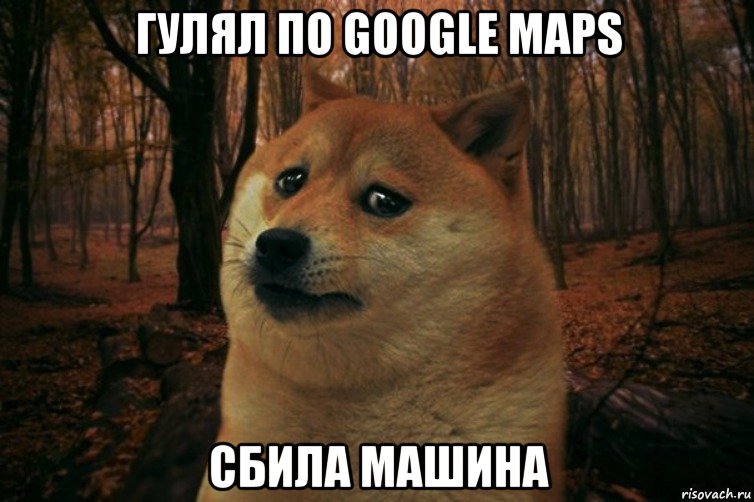 гулял по google maps сбила машина, Мем SAD DOGE