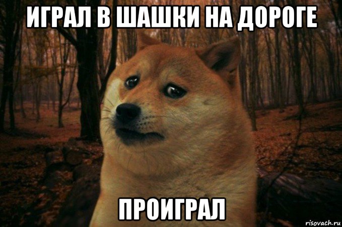 играл в шашки на дороге проиграл, Мем SAD DOGE