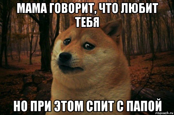 мама говорит, что любит тебя но при этом спит с папой, Мем SAD DOGE