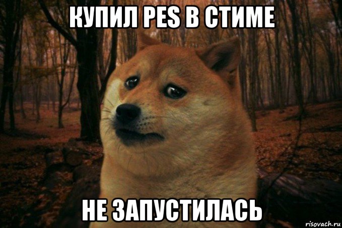 купил pes в стиме не запустилась, Мем SAD DOGE