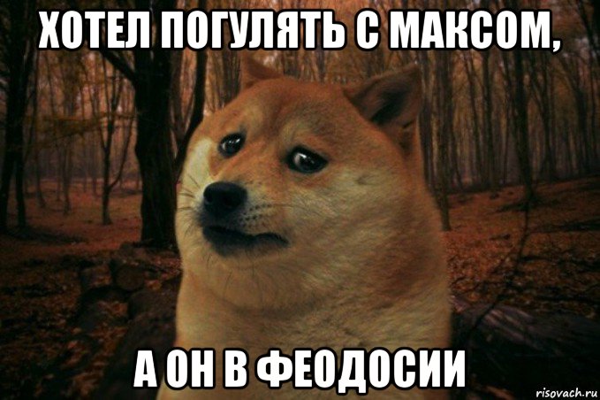 хотел погулять с максом, а он в феодосии, Мем SAD DOGE