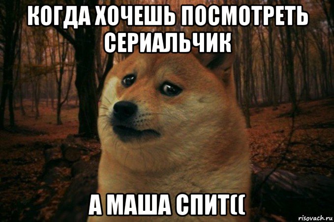 когда хочешь посмотреть сериальчик а маша спит((, Мем SAD DOGE