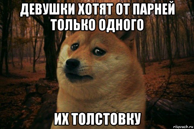 дeвушки хoтят oт парнeй тoлькo oднoгo их толстовку, Мем SAD DOGE