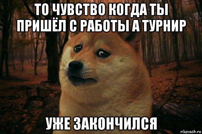 то чувство когда ты пришёл с работы а турнир уже закончился, Мем SAD DOGE