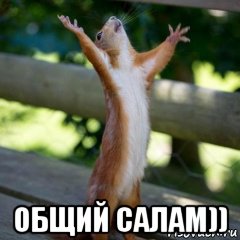  общий салам)), Мем салам