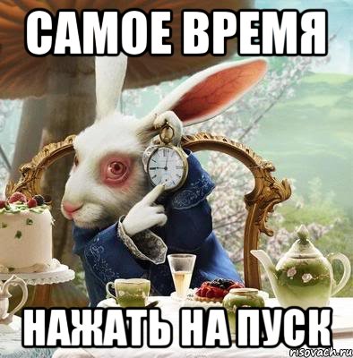 Самое время нажать на пуск