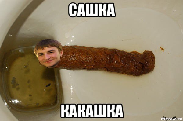 сашка какашка