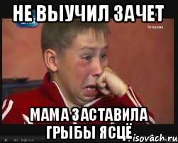не выучил зачет мама заставила грыбы ясцё, Мем  Сашок Фокин