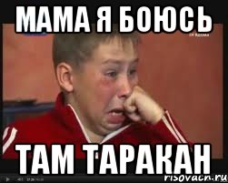 МАМА я боюсь Там таракан, Мем  Сашок Фокин