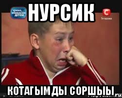 Нурсик Котагымды соршыы, Мем  Сашок Фокин