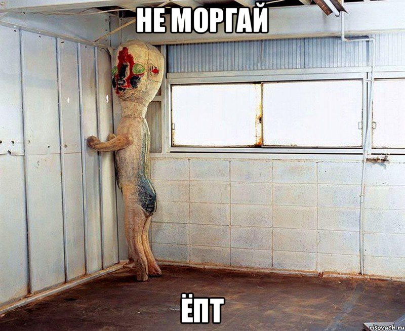 не моргай ёпт