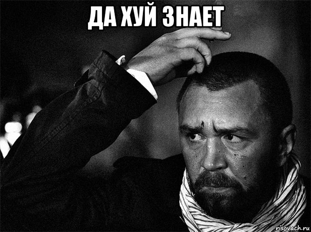 да хуй знает , Мем шнуров