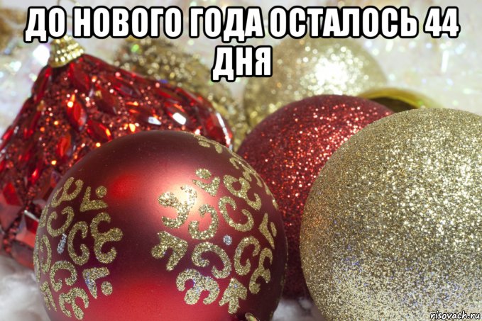 до нового года осталось 44 дня , Мем сиси
