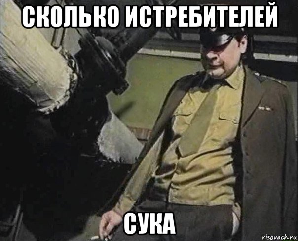 сколько истребителей сука, Мем Сколько истребителей  сука 