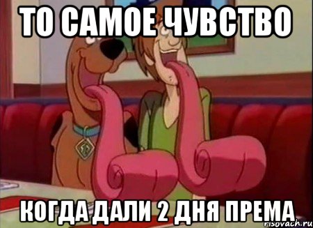 То самое чувство когда дали 2 дня према