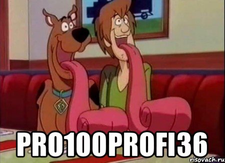  Pro100profi36