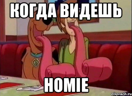 когда видешь HOMIE