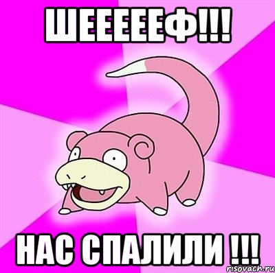 Шеееееф!!! Нас спалили !!!, Мем слоупок