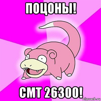 поцоны! смт 26300!, Мем слоупок