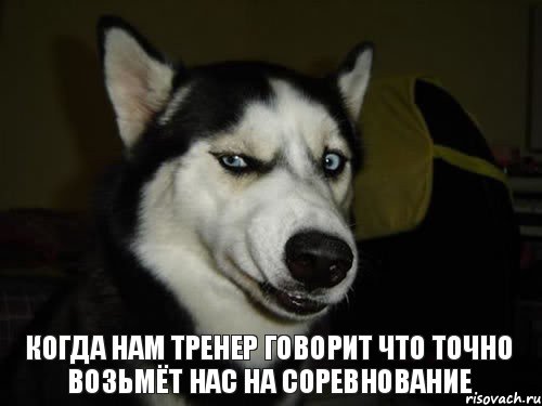 когда нам тренер говорит что точно возьмёт нас на соревнование, Комикс  Собака подозревака