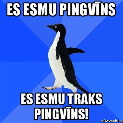 Es esmu pingvīns Es esmu traks pingvīns!, Мем  Социально-неуклюжий пингвин