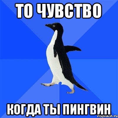 То чувство Когда ты пингвин, Мем  Социально-неуклюжий пингвин