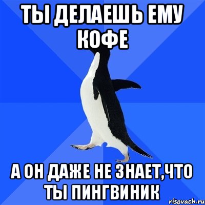 Ты делаешь ему кофе А он даже не знает,что ты пингвиник, Мем  Социально-неуклюжий пингвин