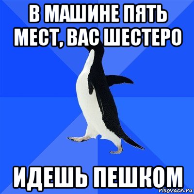 в машине пять мест, вас шестеро идешь пешком, Мем  Социально-неуклюжий пингвин