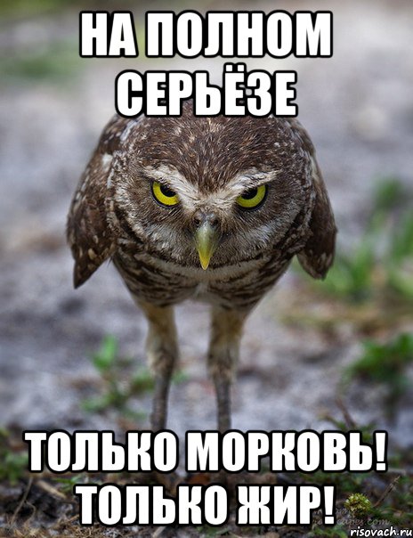 на полном серьёзе только морковь! только жир!