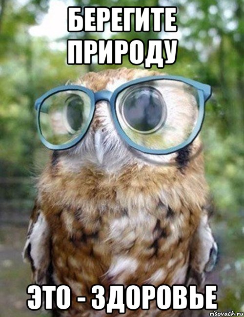 БЕРЕГИТЕ ПРИРОДУ ЭТО - ЗДОРОВЬЕ, Мем сова в очках