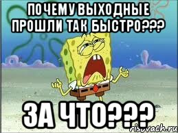 Почему выходные прошли так быстро??? За что???, Мем Спанч Боб плачет