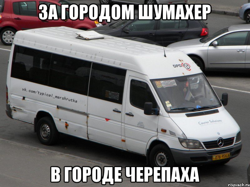 За городом шумахер В городе черепаха