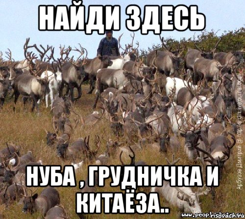 Найди здесь нуба , грудничка и китаёза..