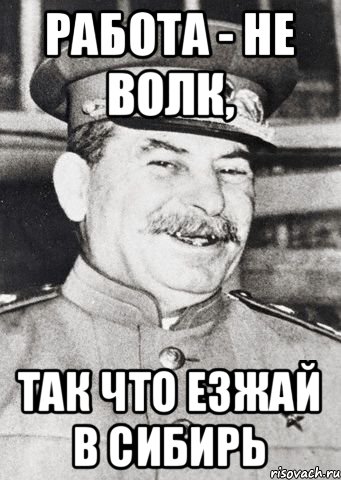 Работа - не волк, так что езжай в Сибирь, Мем stalin