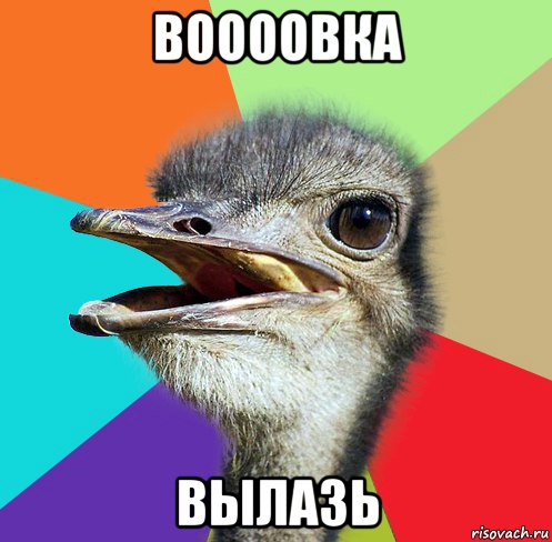 воооовка вылазь