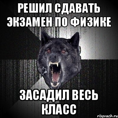 Решил сдавать экзамен по физике Засадил весь класс, Мем Сумасшедший волк