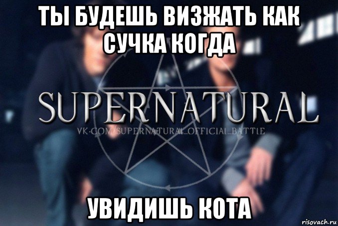 ты будешь визжать как сучка когда увидишь кота, Мем  Supernatural