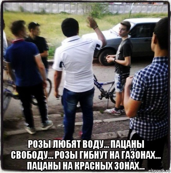  розы любят воду… пацаны свободу… розы гибнут на газонах… пацаны на красных зонах…, Мем Ть